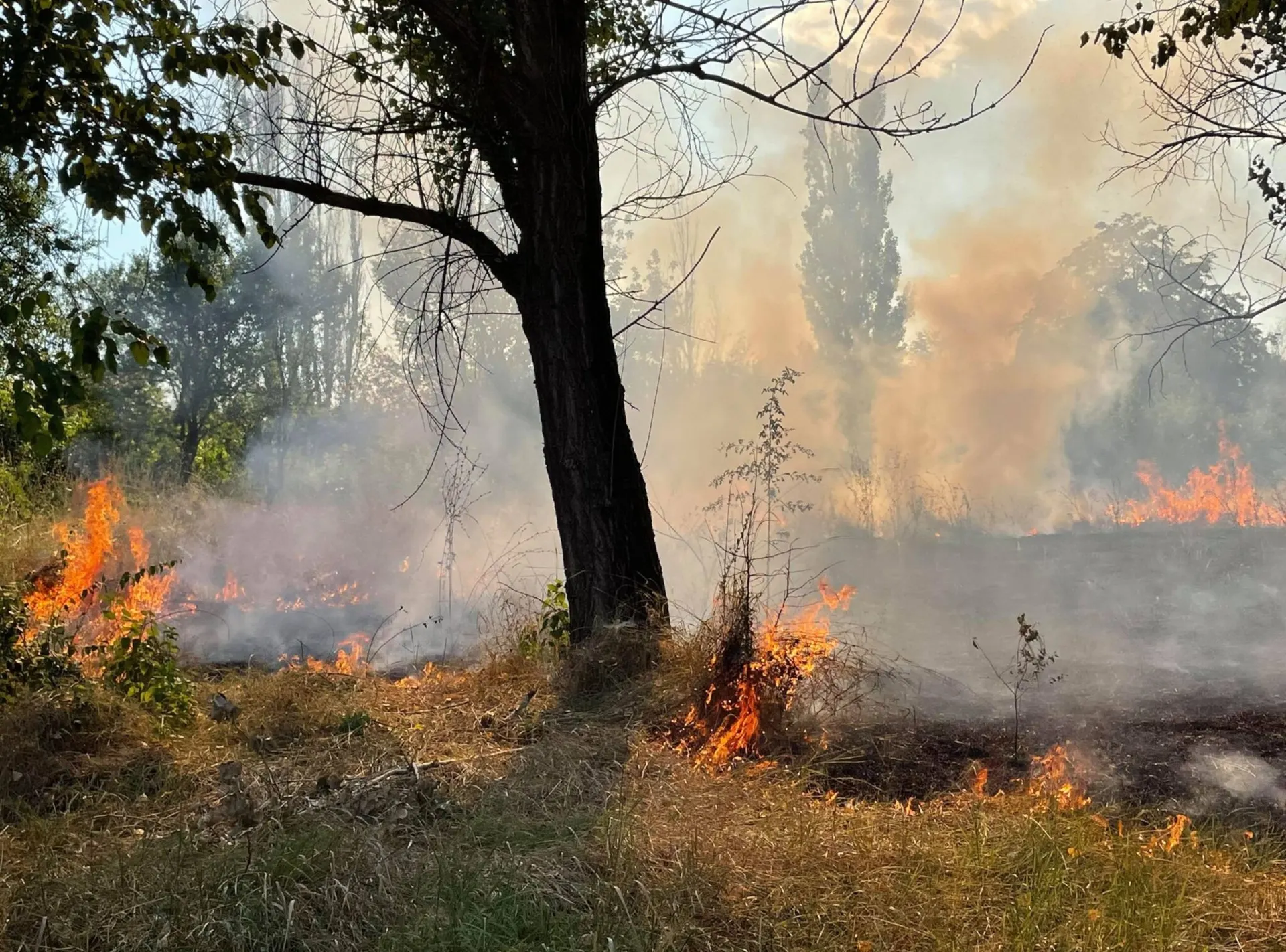 Incendiu în zona retrocedată a Parcului IOR