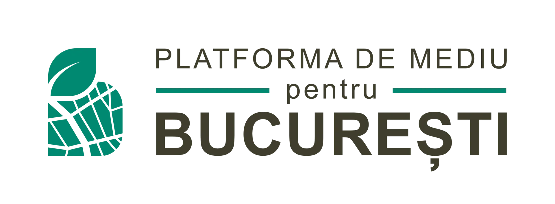 Logo Platforma România 100